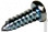 Screw;.3x10L - Product Image