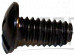 Screw;Phillip - Product Image