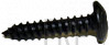 Screw;Phillip - Product Image