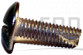 Screw;Phillip;BH;Green;M5x0.8Px15L;Cr;Cu - Product Image
