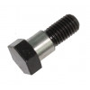 5020289 - SPECIAL BOLT - Product Image
