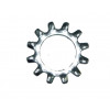 6028261 - Washer, Locking - Product Image