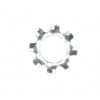 6042022 - Washer, Star - Product Image