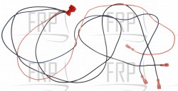 Wire Harness - Product Image