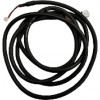 49005788 - Wire harness - Product Image