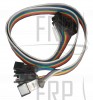 Wire Harness, Ribbon - Product Image